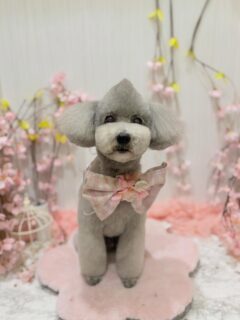 まるちゃん♡
そらちゃん♡
あずきちゃん♡

ご利用ありがとうございました😊

#京都#京都西京区#動物病院京都#動物病院京都西京桂院#動物病院併設トリミングサロン#京都トリミング#トリミング#ペットホテル#トリミングサロン雅#京都トリマー#犬好きな人と繋がりたい#grooming#犬のいる暮らし#多頭飼い#桂トリミング#こぐまカット#テディベアカット#プードル#ミニチュアダックスフンド