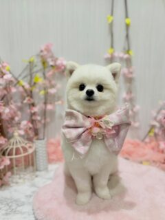 小太郎ちゃん♡
ライちゃん♡
モカちゃん♡

ご利用ありがとうございました😊

#京都#京都西京区#動物病院京都#動物病院京都西京桂院#動物病院併設トリミングサロン#京都トリミング#トリミング#ペットホテル#トリミングサロン雅#京都トリマー#犬好きな人と繋がりたい#grooming#犬のいる暮らし#多頭飼い#桂トリミング#こぐまカット#テディベアカット#ポメラニアン#チワワ