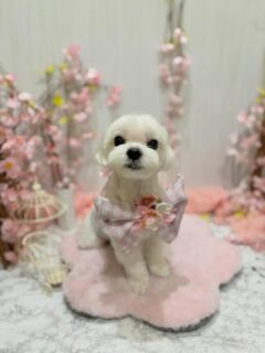 風太ちゃん♡
モモちゃん♡
トゥースちゃん♡

ご利用ありがとうございました😊

#京都#京都西京区#動物病院京都#動物病院京都西京桂院#動物病院併設トリミングサロン#京都トリミング#トリミング#ペットホテル#トリミングサロン雅#京都トリマー#犬好きな人と繋がりたい#grooming#犬のいる暮らし#多頭飼い#桂トリミング#こぐまカット#テディベアカット#マルチーズ#シーズー#トイプードル