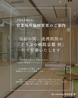 【重要】臨時営業場所変更のお知らせ

いつもthe trimmming西京桂店をご利用いただき誠にありがとうございます。
昨日、急な電気トラブルが発生いたしました。
現在復旧にあたっているものの、わんちゃんの安全を第一に考え、当面の間、連携先の「どうぶつ病院京都 桂」にて間借り営業をいたします。

つきましては、下記をご確認の上ご来店をお願いいたします。

📍【受付場所】
「どうぶつ病院京都 桂」へ直接お越しください

⏰【受付時間】
9:00〜（病院は9:30開院ですが、サロンは変わらず9:00より受付いたします）

⚠️【制限事項】
一部オプションの休止、お会計時にお手数やご不便をおかけする場合がございます。

急な変更となり大変申し訳ございません。
一時的に営業場所は変わりますが、これまで同様に安全最優先で心を込めてお預かりいたします。

お電話は変わらず繋がりますので、ご不明点は公式LINE、またはお電話でお気軽にお問い合わせください。

ご迷惑をおかけいたしますがご理解ご協力の程何卒よろしくお願い申し上げます。

🐾店舗番号：075-393-0700