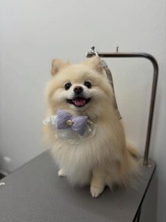 ルルちゃん♡
ハロちゃん♡
がぶちゃん♡