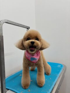 チャチャちゃん♡
そらちゃん♡